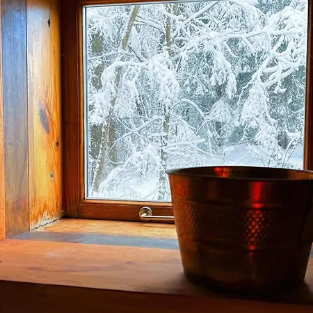 Holiday home Authentic Russian Sauna House With Private Access *